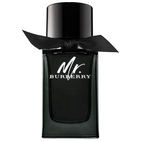 burberry cologne mr burberry|perfume mr burberry original.